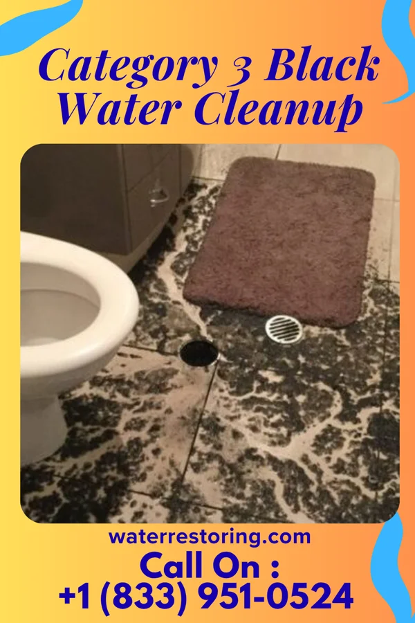 Category 3 Black Water Cleanup in Indian Beach, NC