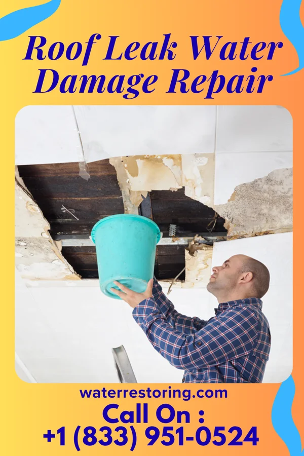 Roof Leak Water Damage Repair in Indian Beach, NC